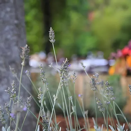 Podere La Miniera And Food