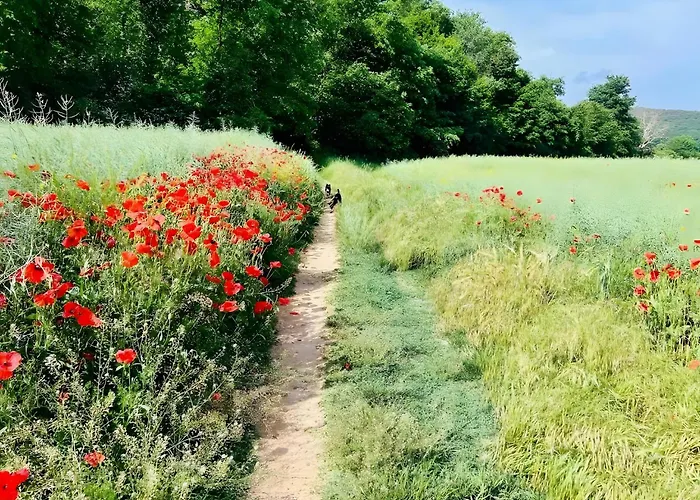 Podere La Miniera And Food B&B