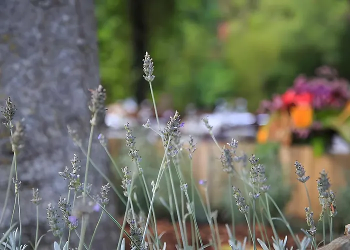 B&B Podere La Miniera And Food