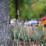 Bed & Breakfast Podere La Miniera And Food