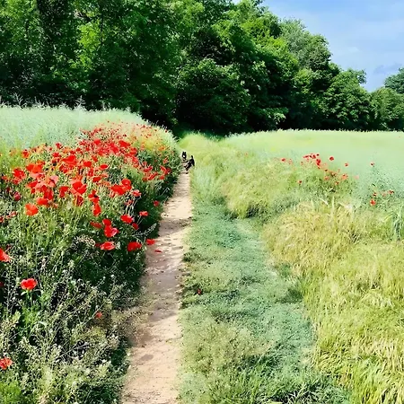 Podere La Miniera And Food Bed and breakfast